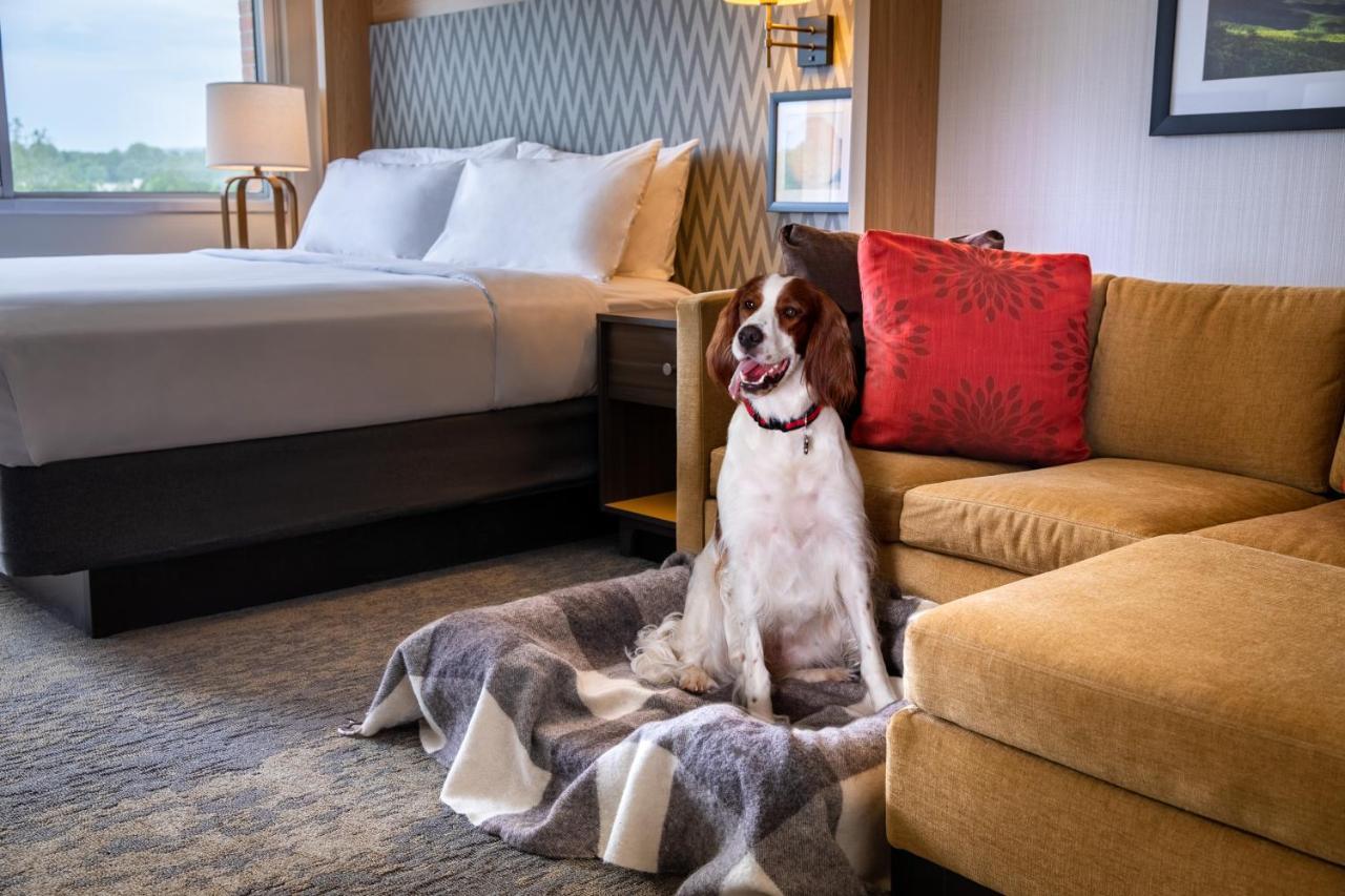 Holiday Inn Charlottesville-Monticello By Ihg Exterior foto
